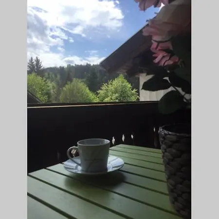 Unser Juwel In Altenmarkt Nahe Flachau Lejlighed *